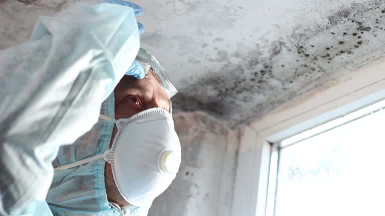 Best Environmental Consulting for Mold Prevention  in Wixom, MI